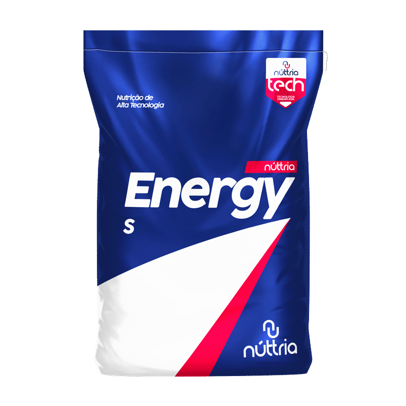 NÚTTRIA ENERGY S E