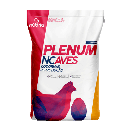 NC PET PRODUÇÃO PLENUM